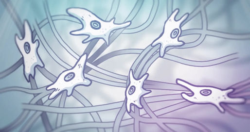 Le Fascia : Révélation d'Un Organe Essentiel