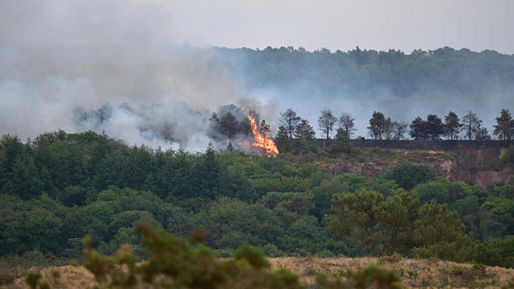 Incendie majeur en Brocéliande : 100 hectares brûlés dans un contexte de sécheresse et de vents forts