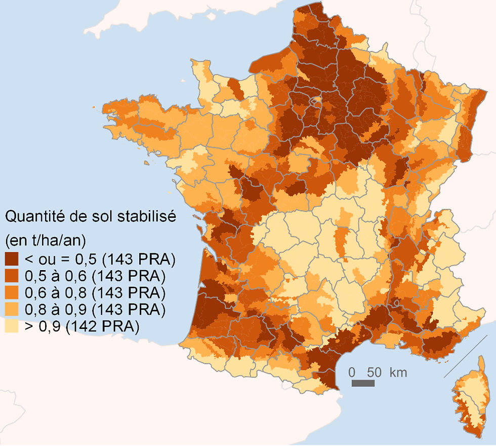 Métaux lourds et détox en France : faits, risques et solutions naturelles