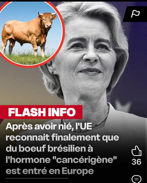Mercosur appliqué en force par van der Leyen