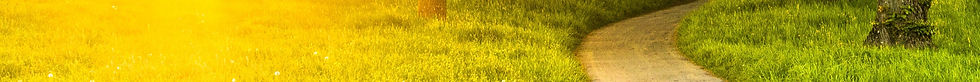 pexels-felix-mittermeier-1080400_edited_edited_edited.jpg