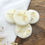 Thumbnail: 6 round shaped botanical wax melts with cream dried botanicals on top in a luxury match style box.