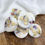 Thumbnail: Cinnamon & Apple botanical wax melts in a match style luxury gift box.