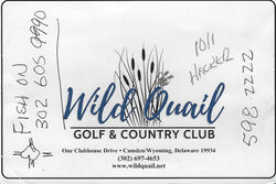 Wild Quail