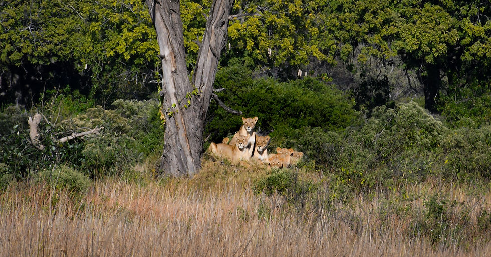 Just across from our camp