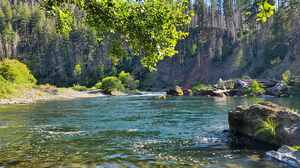 Susan Creek