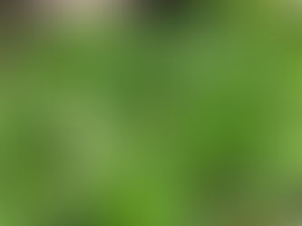 書くこと