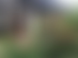 楽すぎる