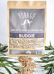 Forage Gourmet Seed Budgie Blend