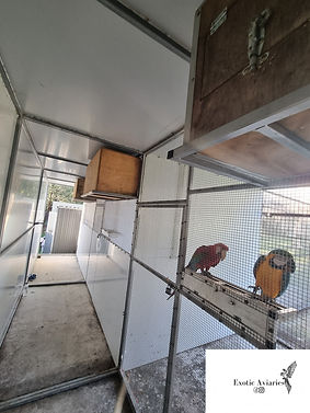 EAZY Feeder