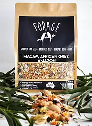 Forage Gourmet Seed Macaw Blend