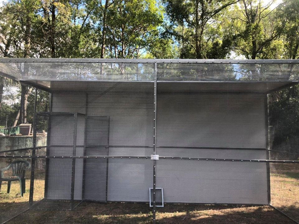 Thumbnail: The Phoenix 2400 x 2400 x 4800