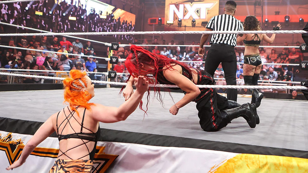 WWE Photo