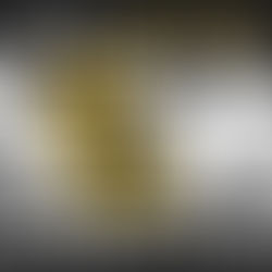 Tony Khan Plans To Make AEW Women’s Division His Focal Point In 2022