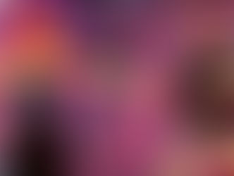 Total Divas Recap S1E2 “A Tango with Fandango”