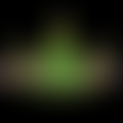 WWE Crown Jewel 2022 Match Card