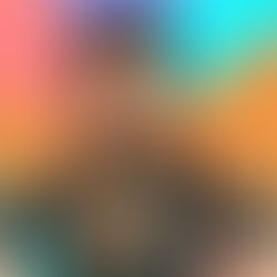 The Protector: Xia Li