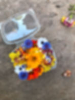 Thumbnail: Edible Flower Mix