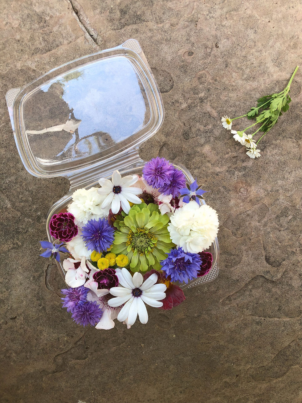Thumbnail: Edible Flower Mix