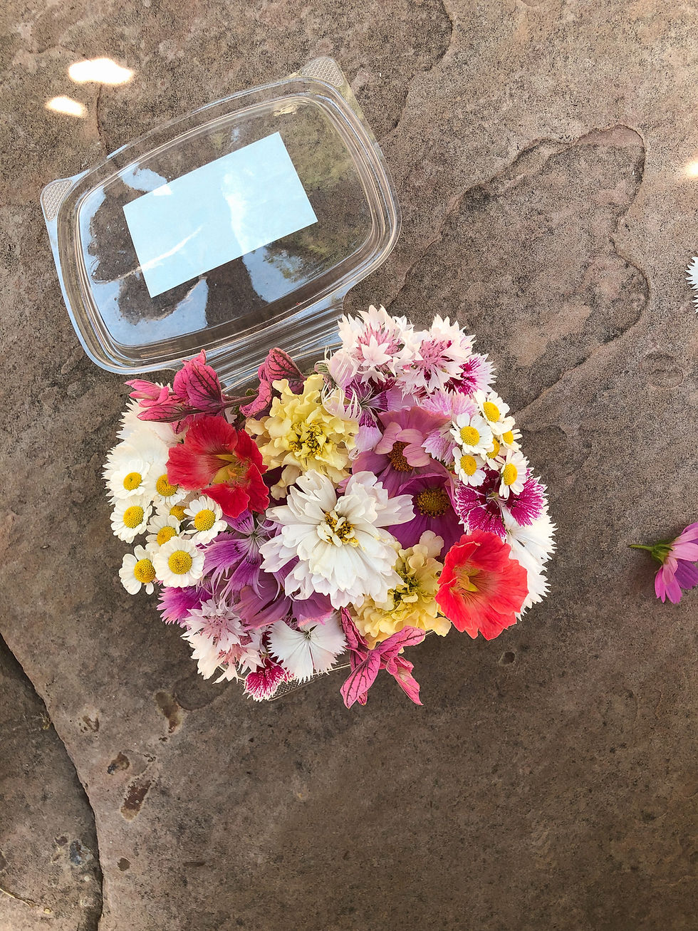 Thumbnail: Edible Flower Mix