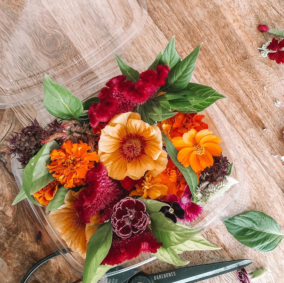 Thumbnail: Edible Flower Mix