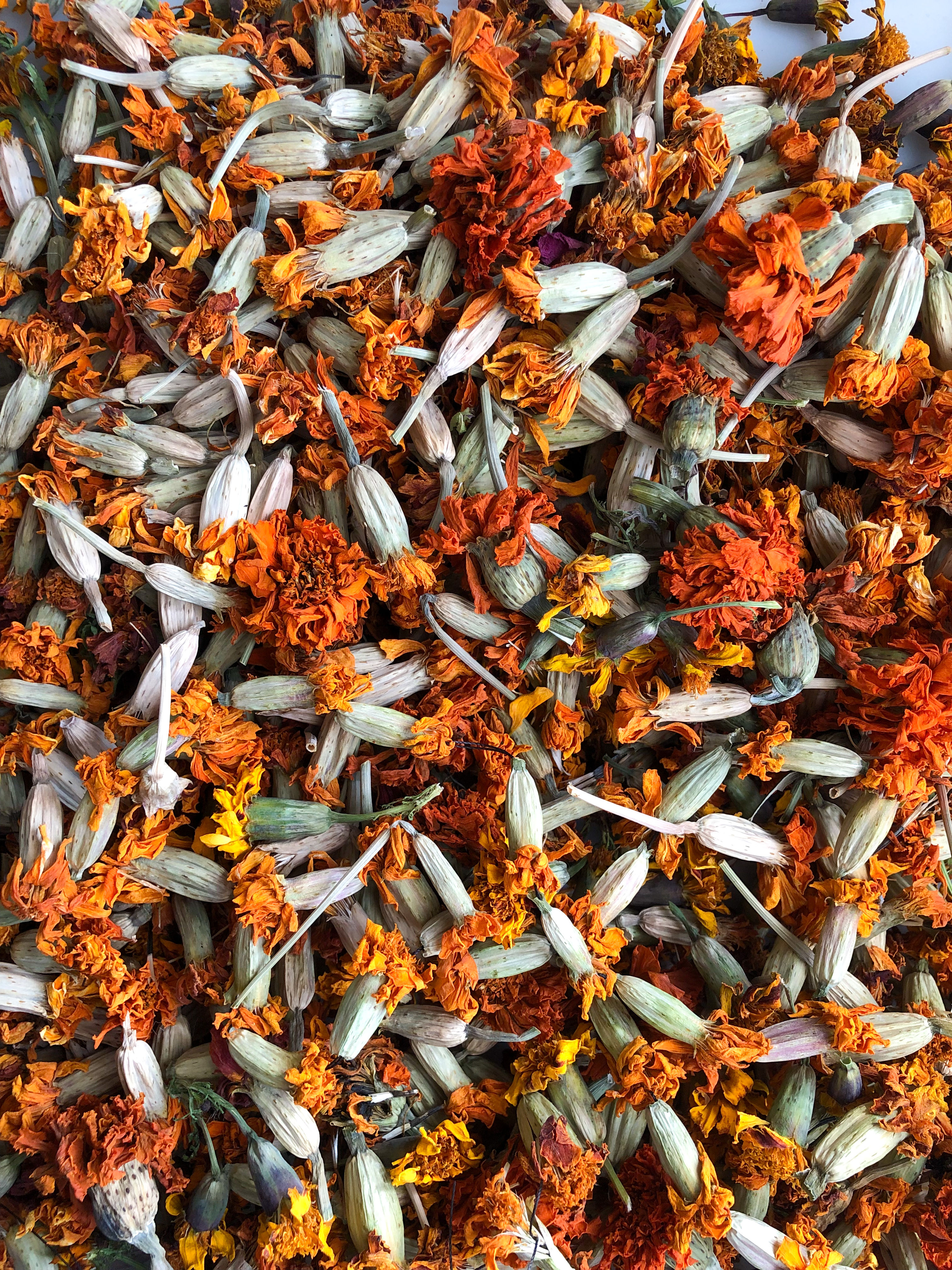 Marigold - Whole Dried Blossoms 50g