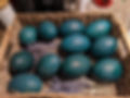 PXL_20220130_232716453.MP.jpg