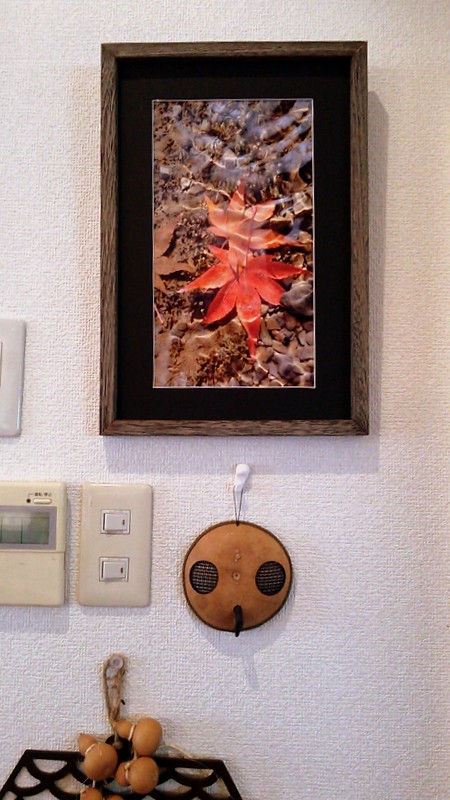 葉山からの音と風