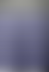 Crash Issue for the Word Speller/Pronouncer Android App