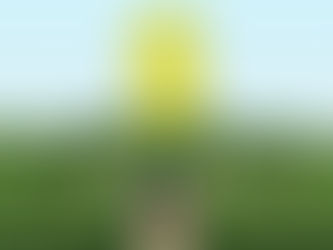 Роботу - роботам, гроші – людям