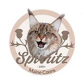 Spirritz Logo