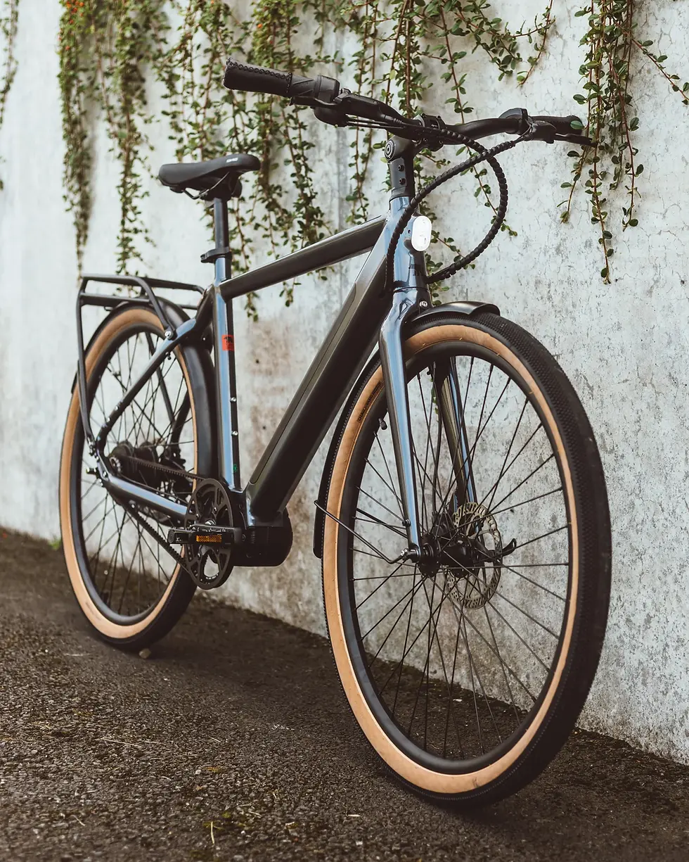 Thumbnail: KUMA BIKE M1