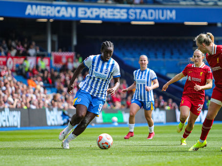 Season recap: Brighton and Hove Albion