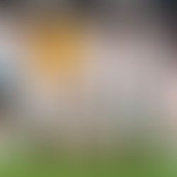 Tottenham Hotspur: The season so far