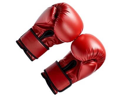 Boxing gloves -5.png