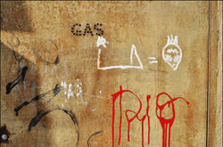 varie gennaio 2011 383xx