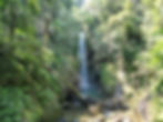 DJI_0756.jpg
