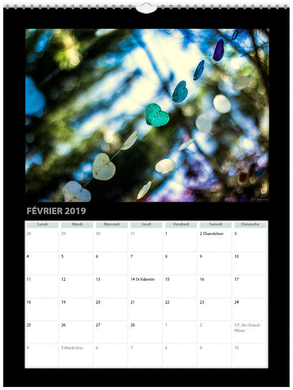 Miniature : Calendrier e.d. photography 2019 A4