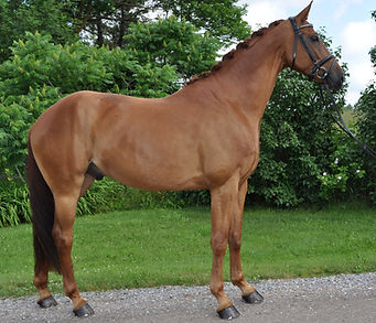 Radiant Conformation (2).jpg