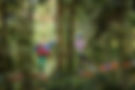 9R1A0946.JPG