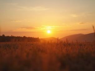Inspiration from Miracles: How Faith Heals Lives