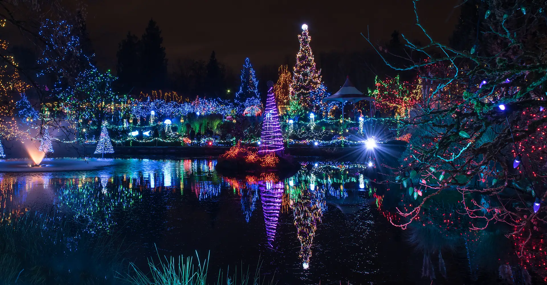 Vancouver lights in winter.