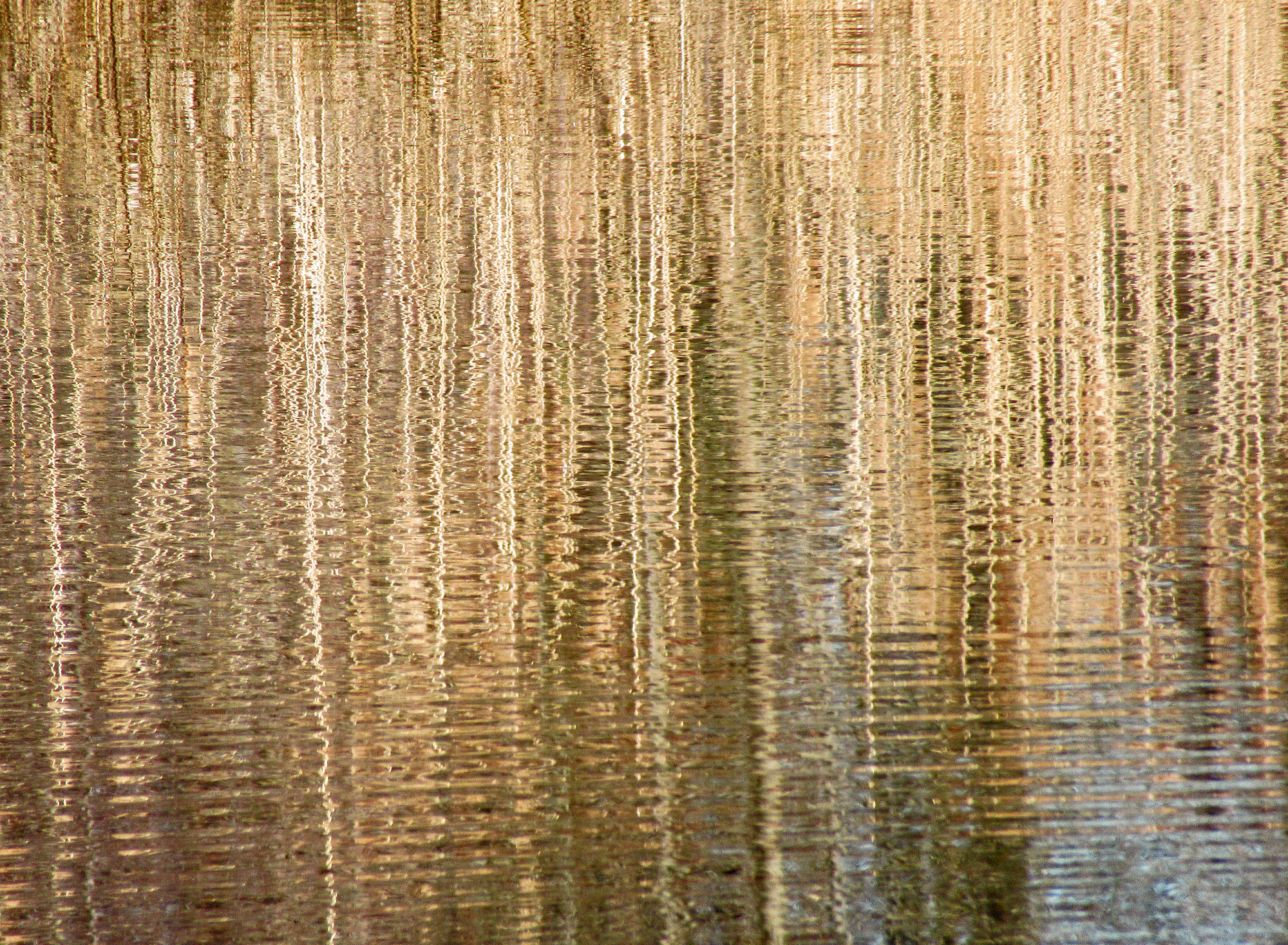 Reflets en ligne