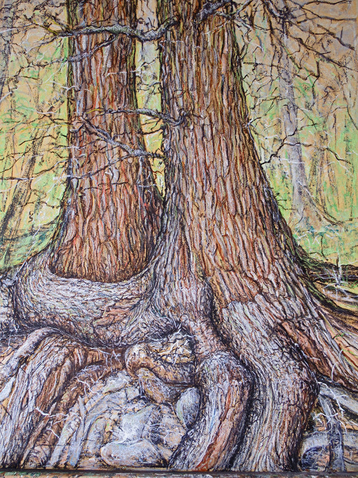 Couple d'arbres