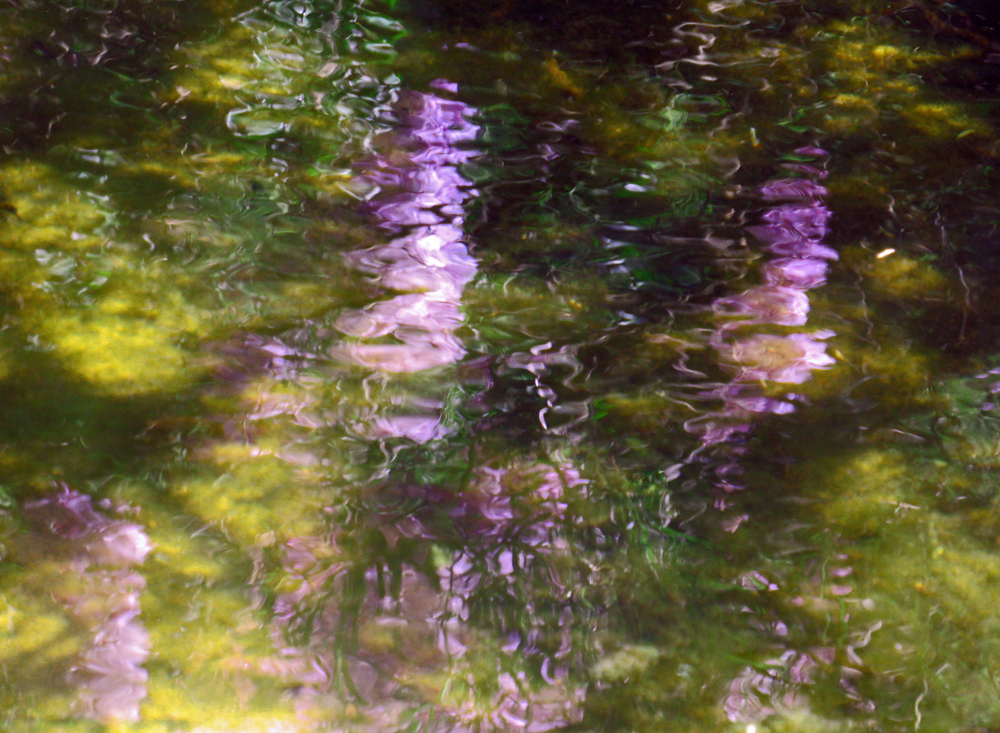 Reflets Monet