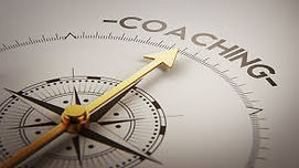 executive memtoring