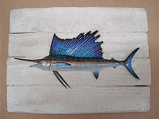 Espadon voilier 19x25cm