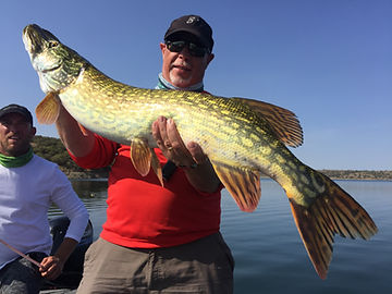 pêche brochet capvert cap vert