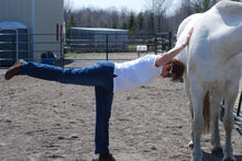 Willaway Farm celebrates "the Horse" at Welsey Clover Parks - June 6th 2015