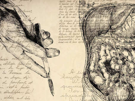 History of Anesthesia